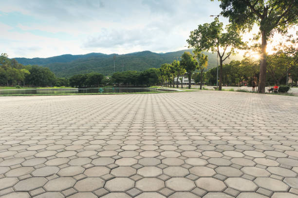 Best Professional Driveway Pavers  in Ridgecrest, FL